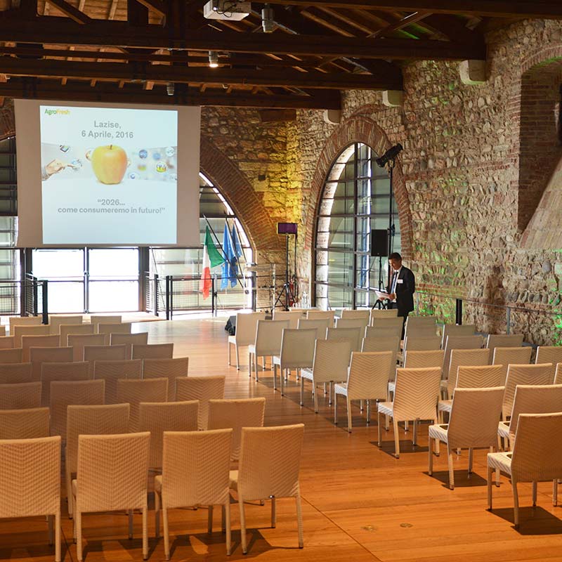 Conferences and Meetings
